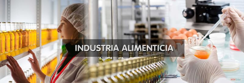 Industria Alimenticia