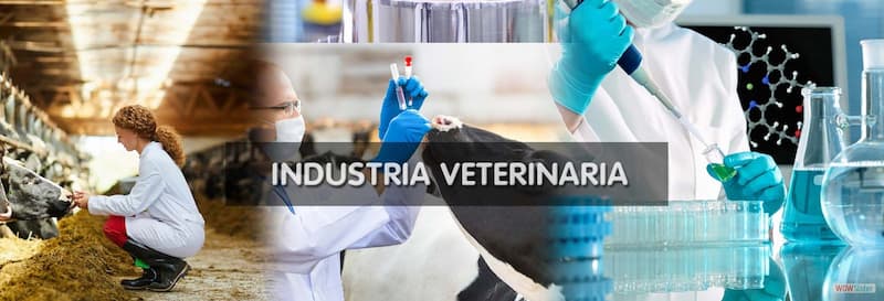 Industria Veterinaria